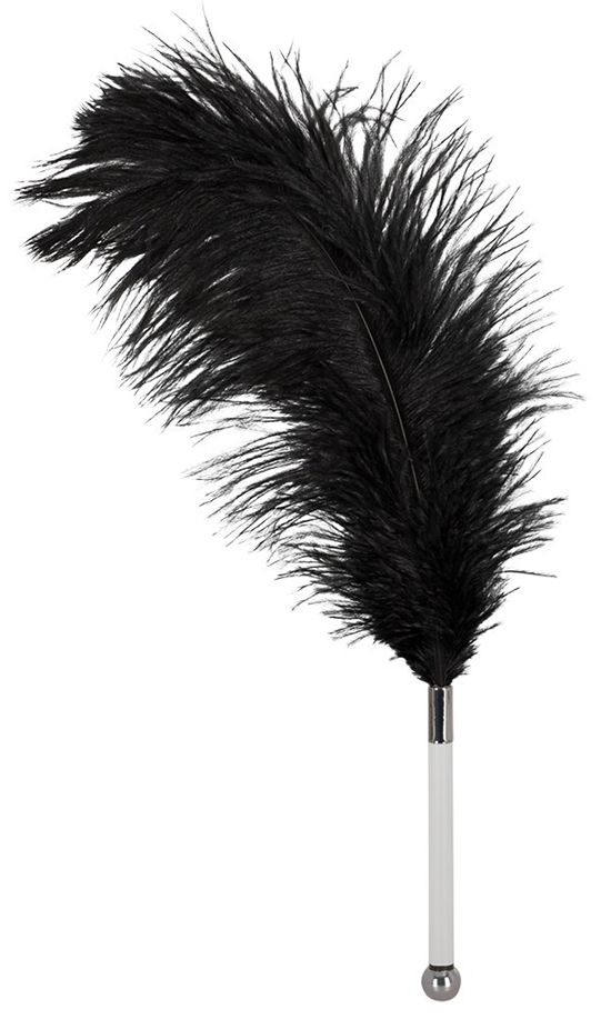 Pluma Erótica Con Mango Transparente